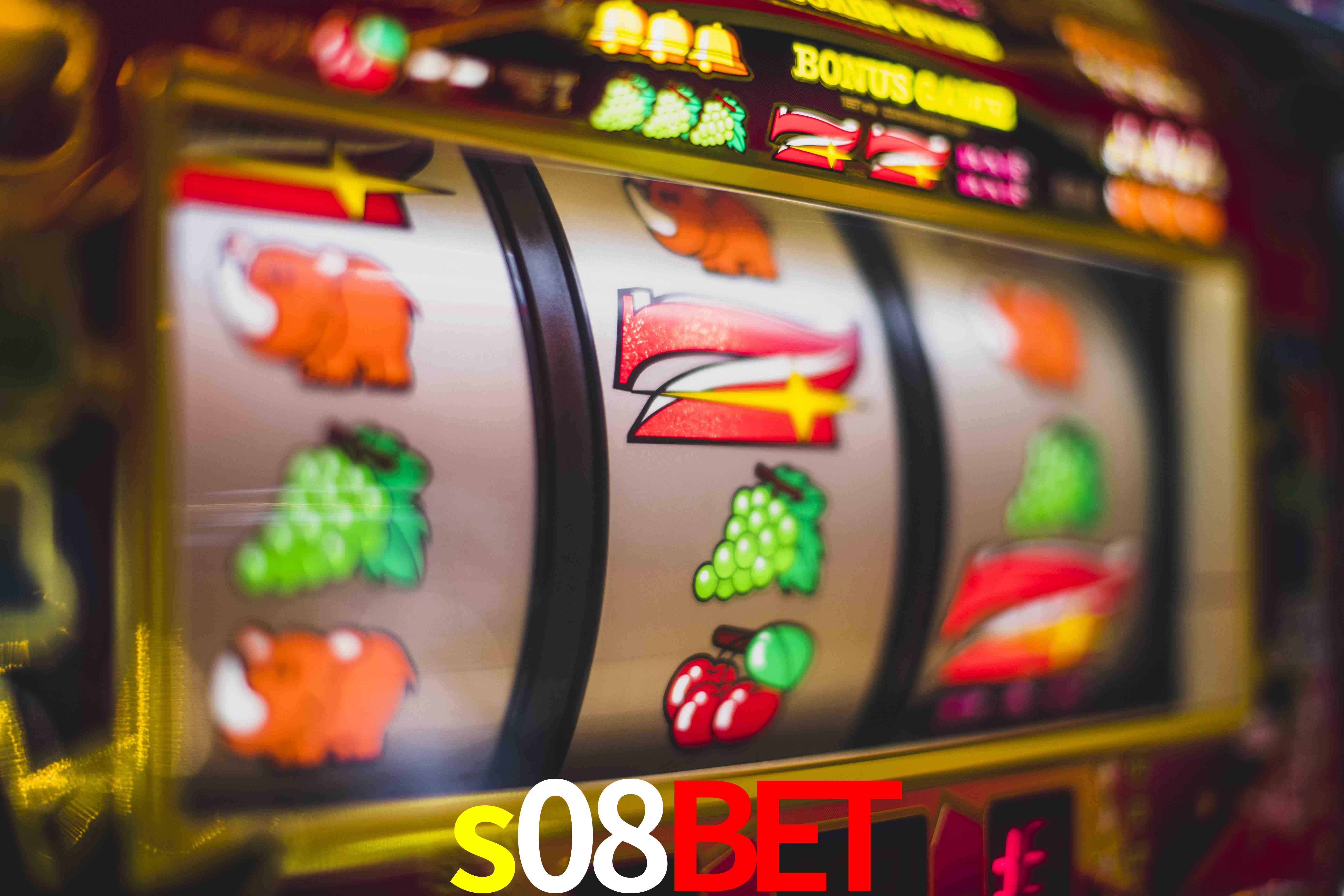 Experiência VIP s08bet